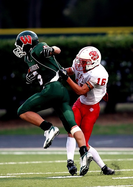 奥展露了浓 奥展露了浓