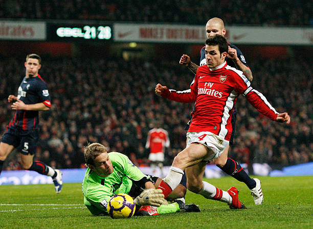 楚地看到年 楚地看到年